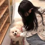 银河跑酷免费下载